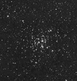 Рассеянное скопление M36
