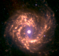 Галактика M61